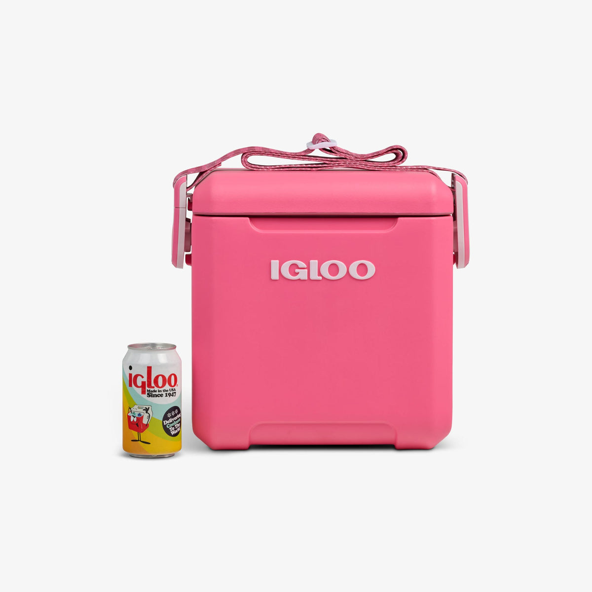 tag-along-too-remix-cooler-q9 00033199-P_861a5cd2-f15c-4217-a471-e33cc3890d9e.jpg
